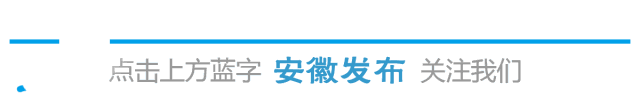 网站使用条款